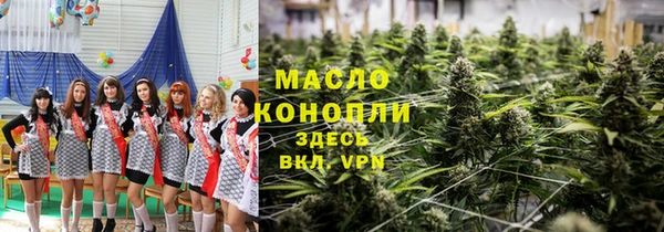 гашик Алексеевка