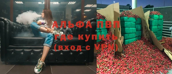 гашик Алексеевка