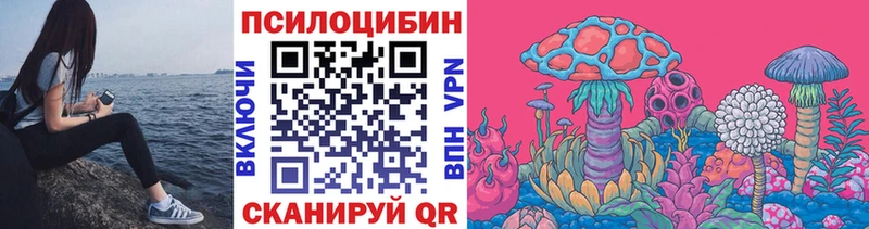 Галлюциногенные грибы Cubensis Елец