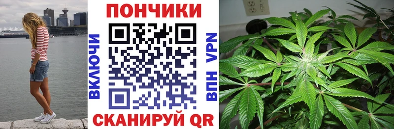 Шишки марихуана OG Kush  МЕГА как зайти  Елец 